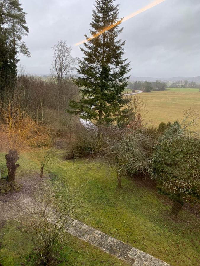 Отель Hohe Tanne Auerbach in der Oberpfalz Экстерьер фото